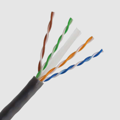 DELTON Cat 6 UTP Cable | Ethernet Network Cable